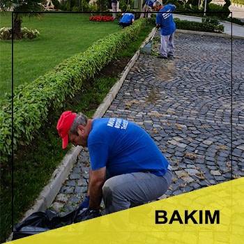 bakım