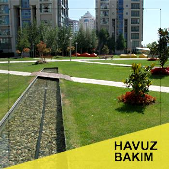 havuz-bakım-2